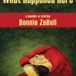 What_Happened_Here_cover