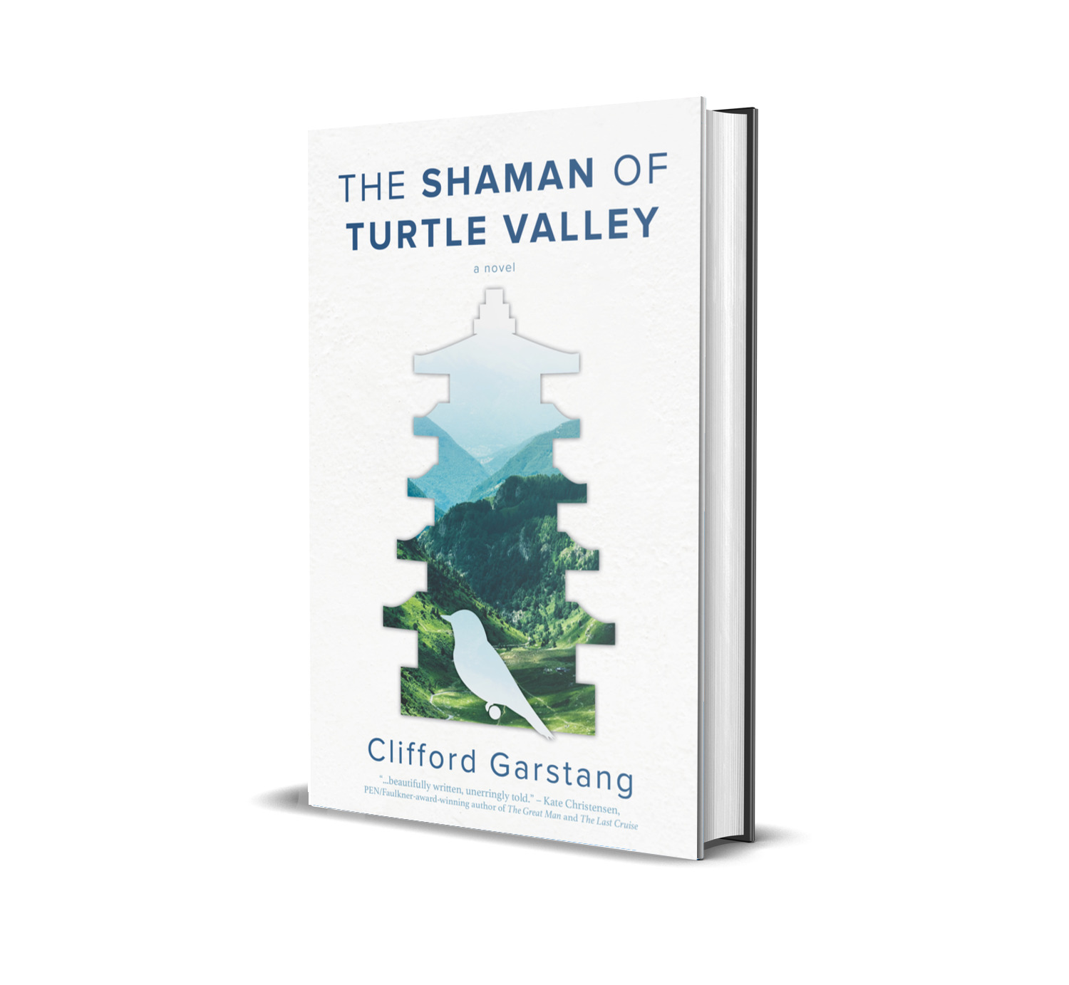 Excerpt from THE SHAMAN OF TURTLE VALLEY – Clifford Garstang